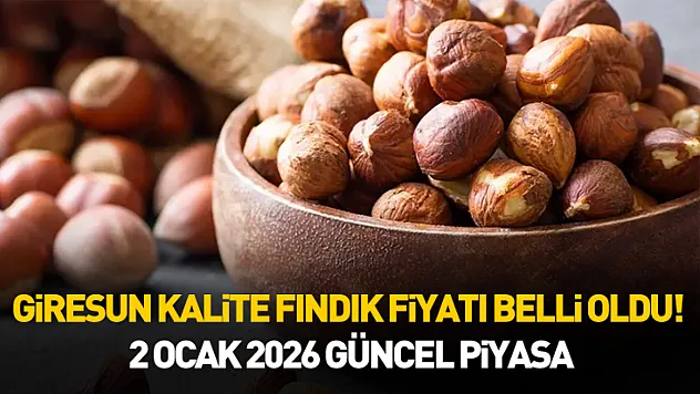 Giresun Kalite Fındık Fiyatı Belli Oldu! 12 Ocak 2026 Güncel Piyasa