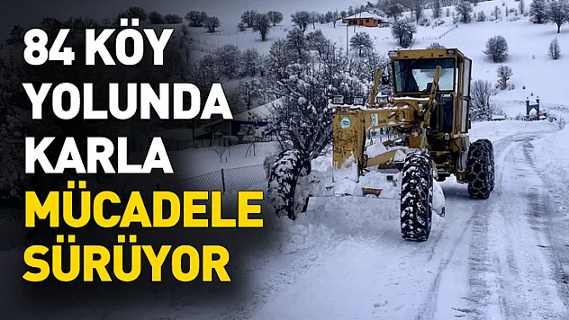 Giresun ve Gümüşhane'de 84 köy yolunda karla mücadele sürüyor
