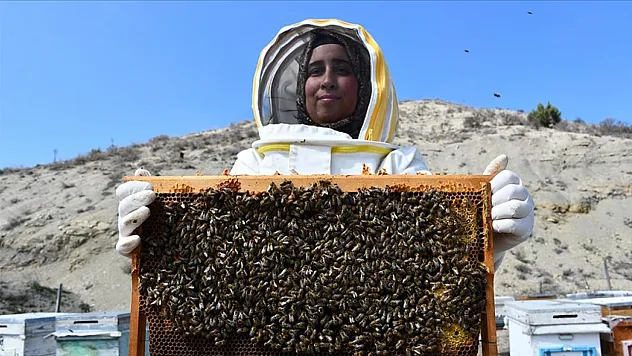 Girişimci kadın arıcı 3 ilde 4 çeşit bal üretiyor