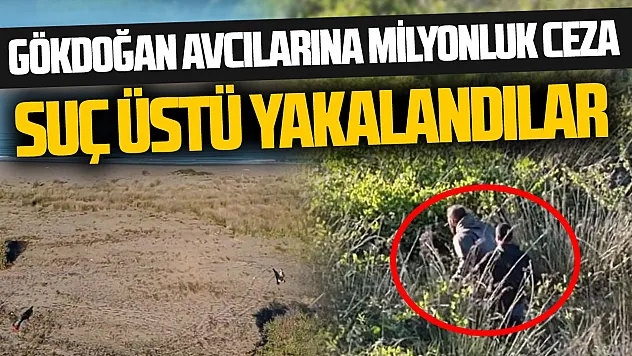 Gökdoğan avcıları suçüstü yakalandı