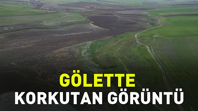Gölette Korkutan Görüntü