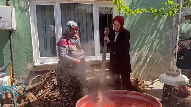 Gölpazarı Salçasına Kaymakam Desteği