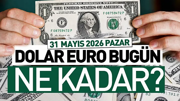 Güncel döviz kurları (31 Mayıs 2026)