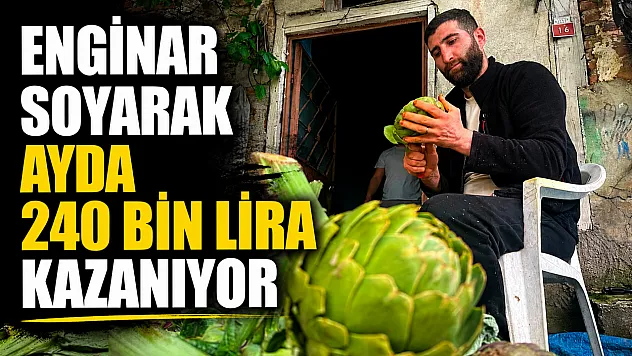 Günde bin enginar soyuyor, ayda 240 bin lira kazanıyor