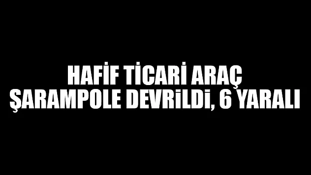 Hafif Ticari Araç Şarampole Devrildi, 6 Yaralı