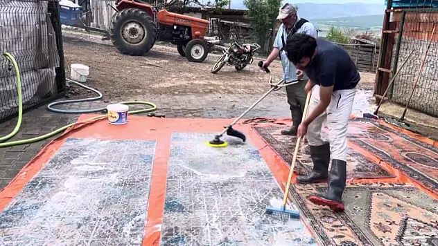 Halı yıkamada yeni boyut : Tırpan