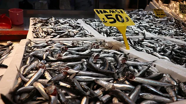 Hamsi bolluğu fiyatlara yansıdı