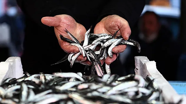 'Hamsi' ismi nereden geliyor?