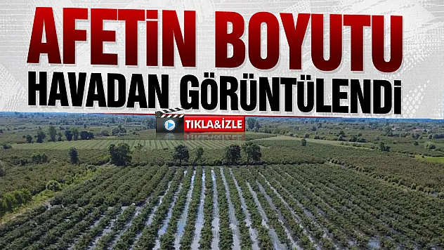 Hasada hazırlanan fındık bahçelerini sağanak vurdu