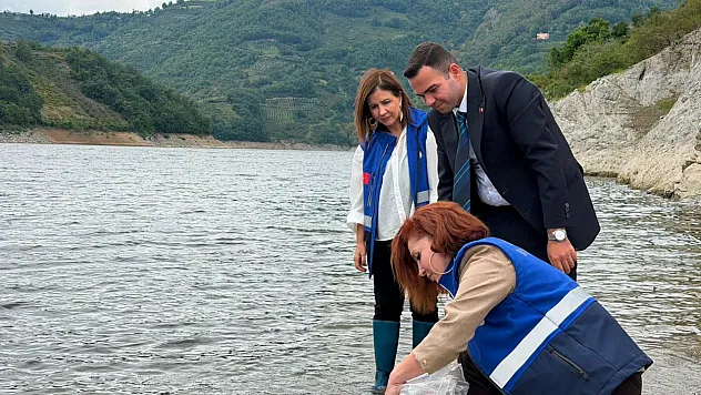 Hasan Uğurlu Baraj Gölü'ne 250 bin yavru sazan bırakıldı
