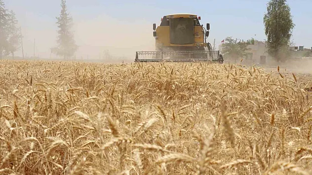 Hasat zamanı başladı