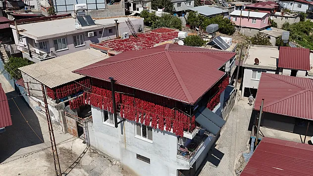 Hatay'da Balkonlar Kırmızıya Büründü: Kavurucu Sıcakta biberler ipe dizldi
