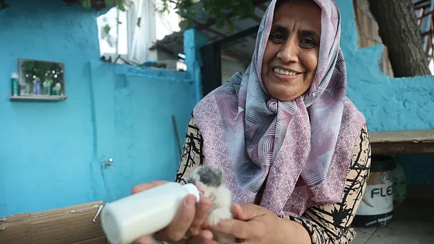 Hatay'da Duygulandıran Hikâye: Sahipsiz Kalan Yavrulara Şefkat Eli