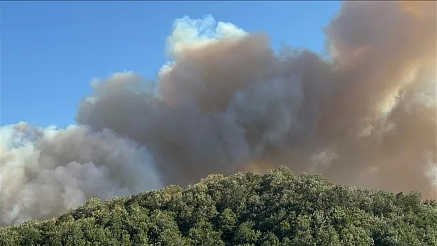 Havadan ve karadan müdahaleyle düşürüldü