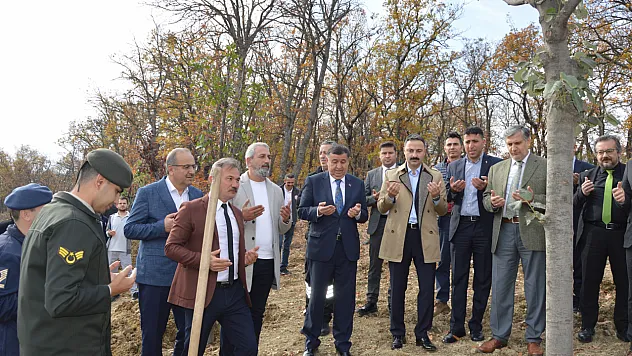 Havza'da fidan dikimi yapıldı