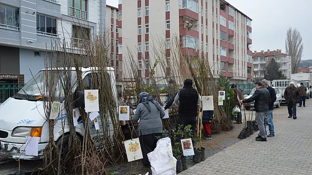Havza'da fidan pazarı kuruldu, bahar hareketliliği başladı