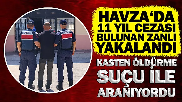 Havza'da Firari Şahsa Jandarma Engeli: 11 Yıl Cezası Bulunan Zanlı Yakalandı