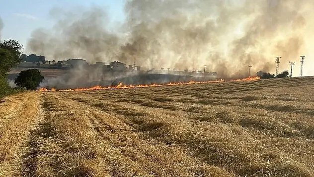 Havza'da yangına karşı önlem uyarısı yapıldı