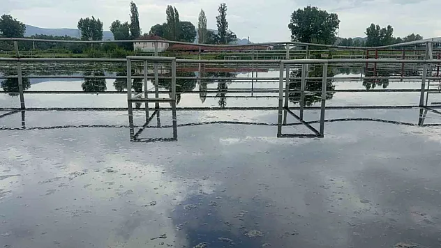 Hayvan pazarı su altında kaldı, besiciler mağdur oldu