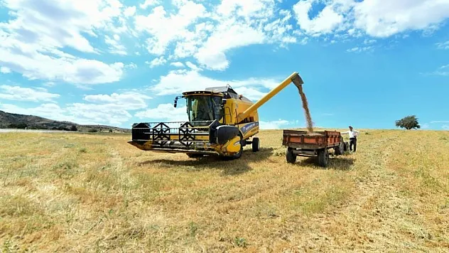 Hayvancılığa Yem Desteği Geliyor