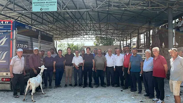 Hayvanlarını kaybeden çiftçilere küçükbaş hayvan desteği