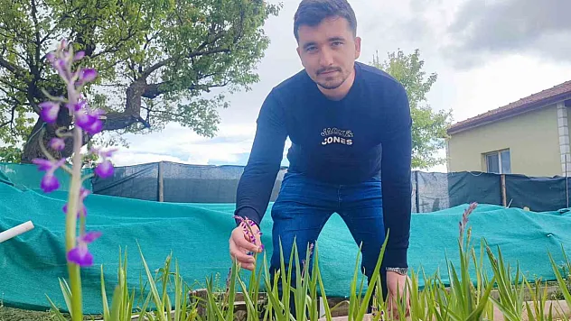 Hedef salep üretimini büyütmek