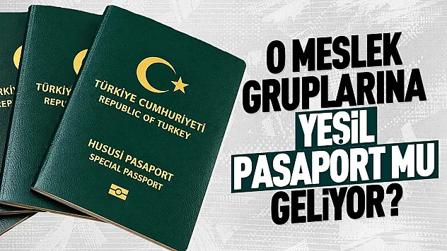 Hekim ve eczacılara yeşil pasaport için kanun teklifi