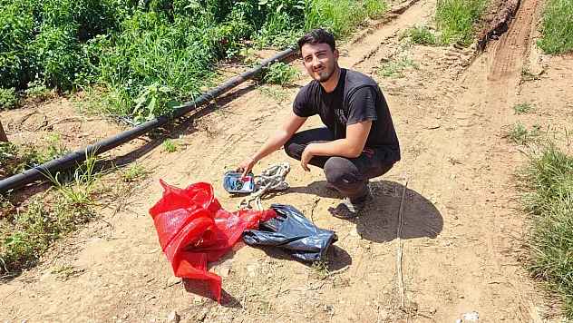 Hırsızlar biberleri üreticiden önce hasat etti