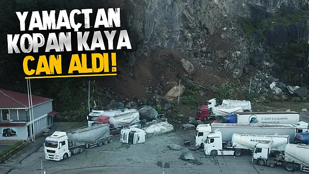 Hopa'da heyelan faciası: Kaya parçaları tır parkına düştü