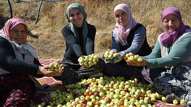 Hünnap mesaisi başladı