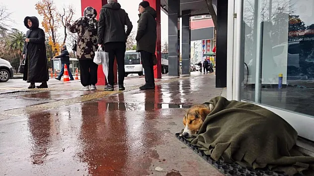 İç ısıtan hareket