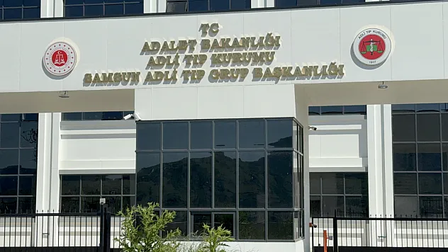 Ihlamur toplarken ağaçtan düştü yaşam savaşını kaybetti