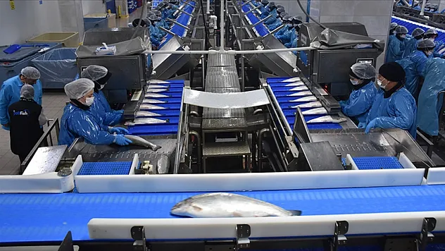 İhracat 369 milyon dolara yaklaştı