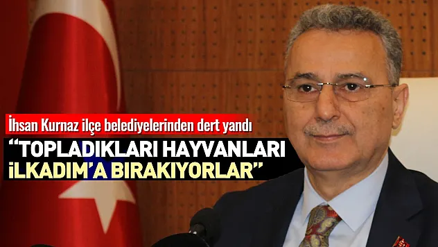 İhsan Kurnaz, 'Topladıkları hayvanları İlkadım'a getiriyorlar'