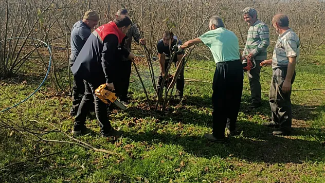 İlçe Tarım Sahada