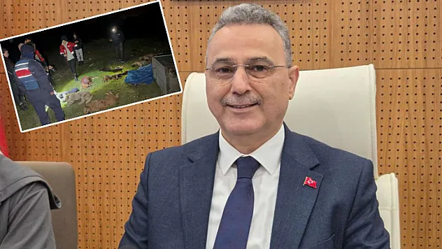 İlkadım Belediye Başkanı Kurnaz'dan Telef Olan Köpeklerle İlgili Açıklama