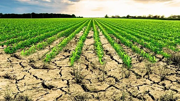 İşlenmeyen araziler yeniden üretime kazandırılıyor