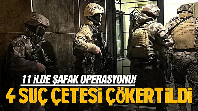 İstanbul Merkezli 11 İlde Büyük Mafya Operasyonu