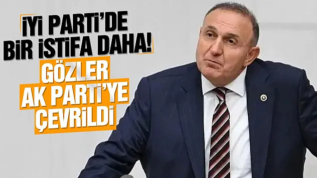 İYİ Parti'de peş peşe istifa!