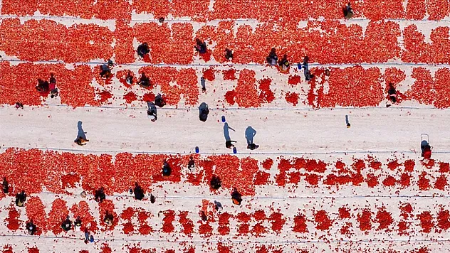 İzmir'de kuru domates mesaisi