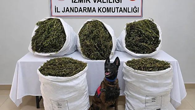 İzmir'de uyuşturucu operasyonuna 3 tutuklama