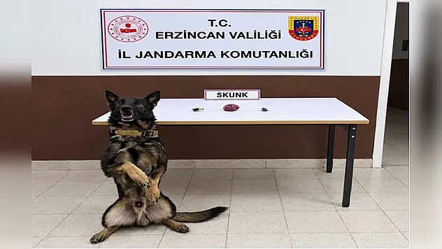 Jandarma uyuşturucu operasyonu: 4 kilo uyuşturucu madde ele geçirildi
