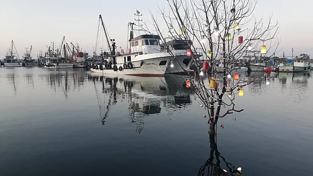 Japon Turistlere Davet: Kushimoto Parkı Samsun'da Hayat Buluyor