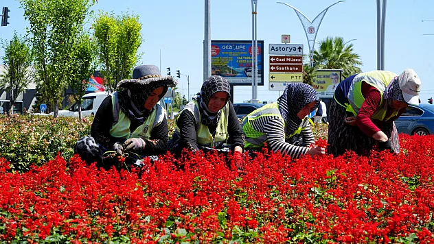 Kadın emeğiyle Samsun rengârenk