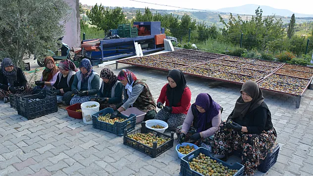 Kadınların elinden çıkan 138 yıllık lezzet ihracata uzanıyor