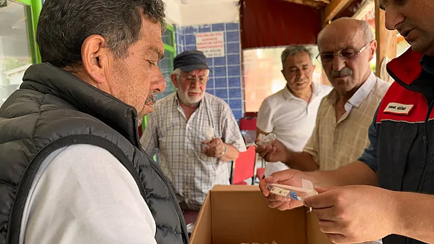 Kahverengi kokarcaya karşı savaşçı arılar doğaya salındı