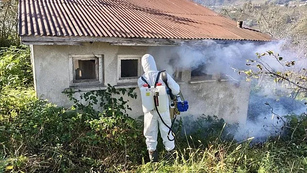 Kahverengi kokarcayla mücadele dört koldan devam ediyor