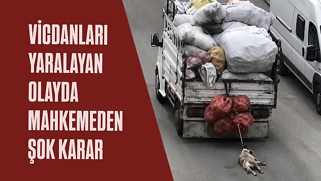Kamyonetin arkasındaki köpek görüntülerine adli kontrol kararı