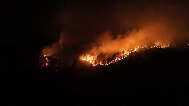 Karabük'te 250 hektar alanı küle çeviren yangın