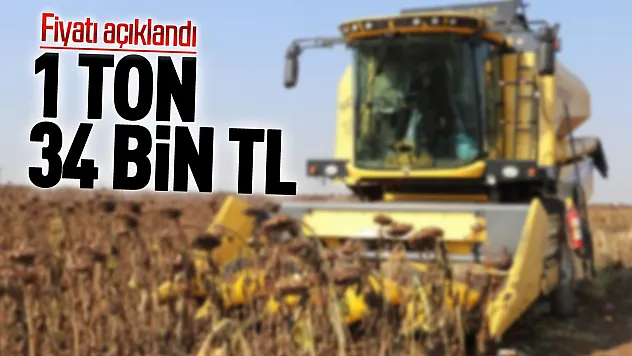 Karadeniz bölgesinde ayçiçeği fiyatı yüzde 17 artışla 34 bin liraya yükseldi